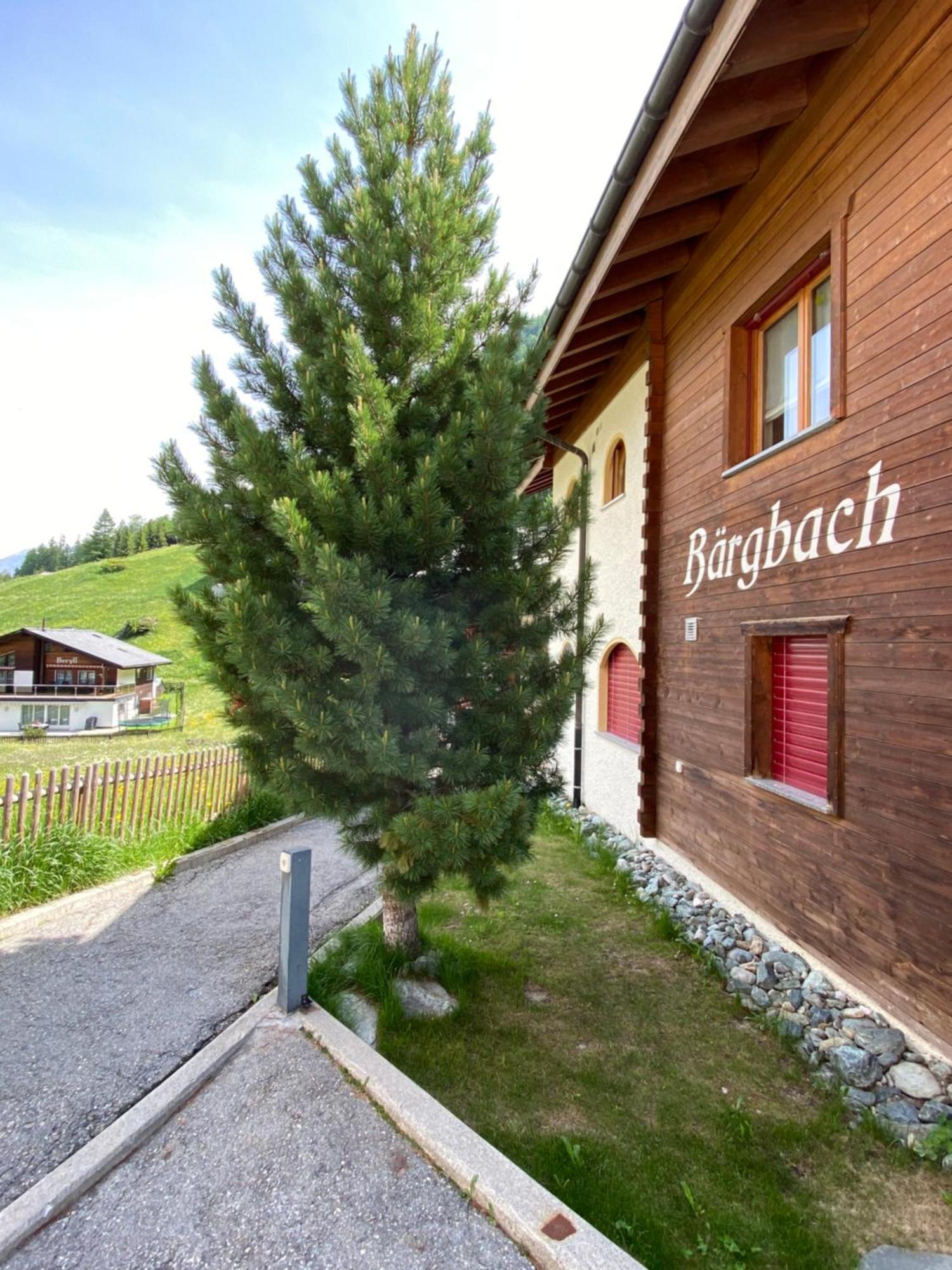 Sonnmatten Boutique Hotel & Apartments Zermatt Buitenkant foto