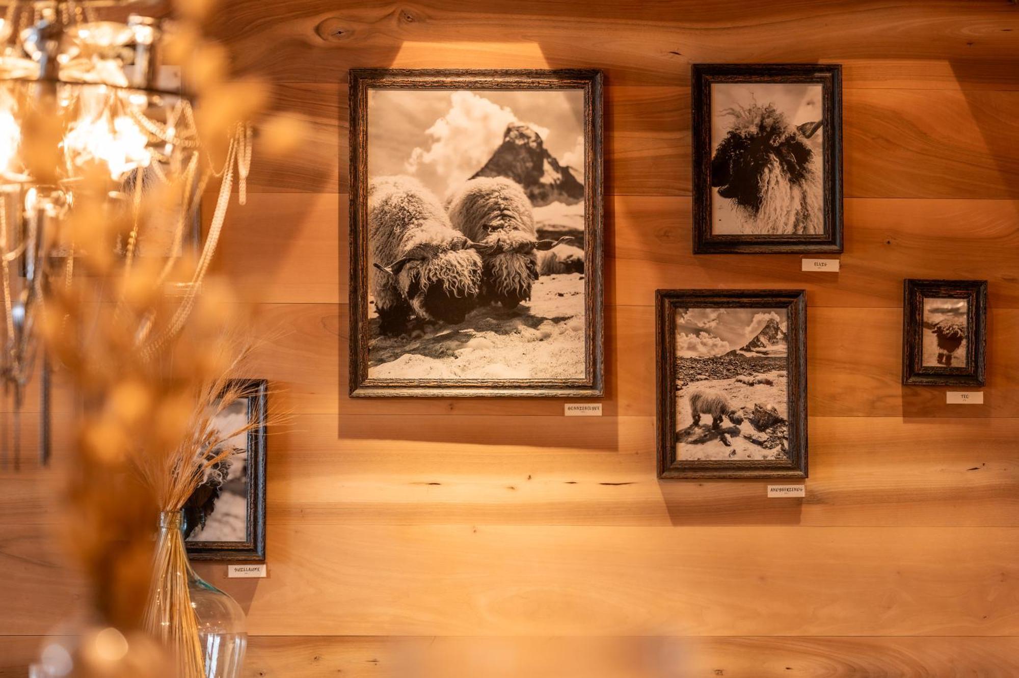 Sonnmatten Boutique Hotel & Apartments Zermatt Buitenkant foto
